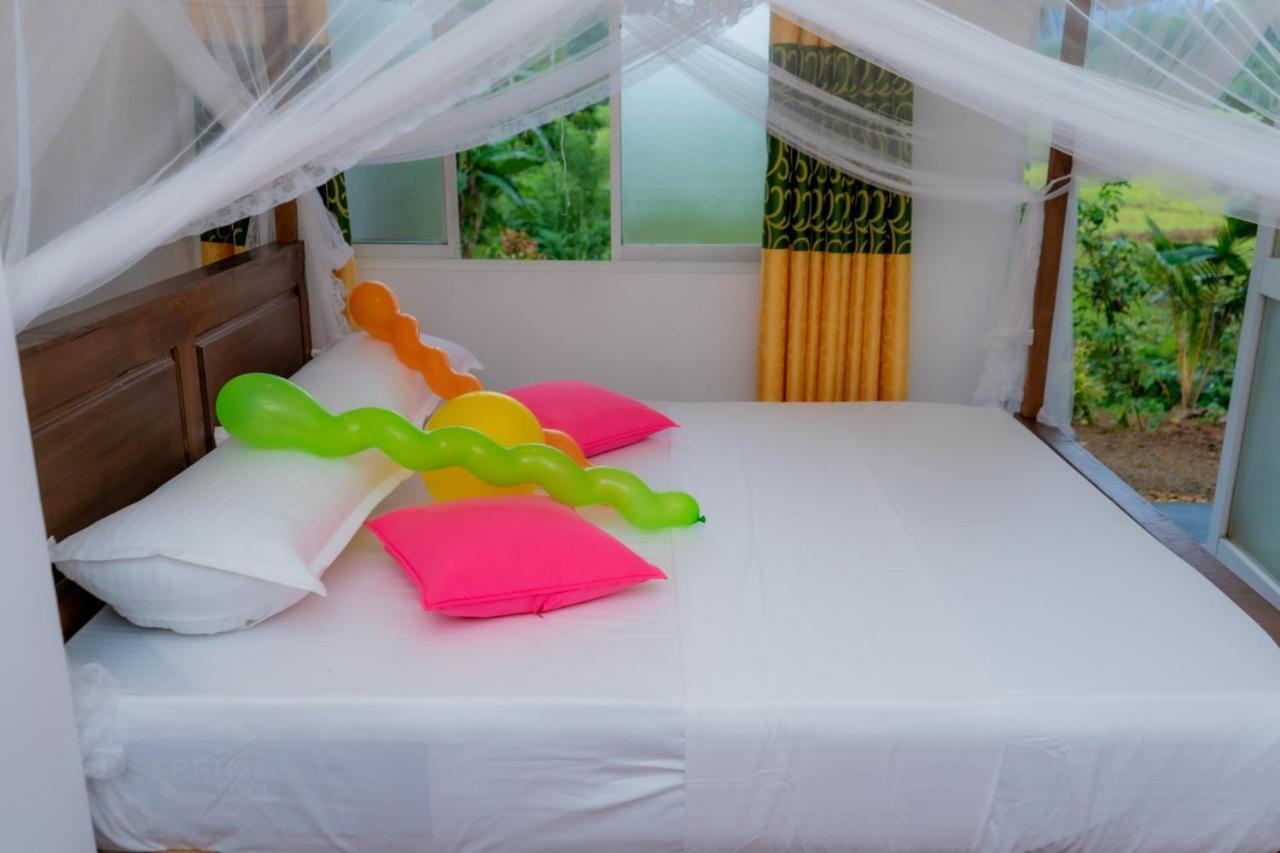 Rainforest Holiday Inn デニヤヤ エクステリア 写真