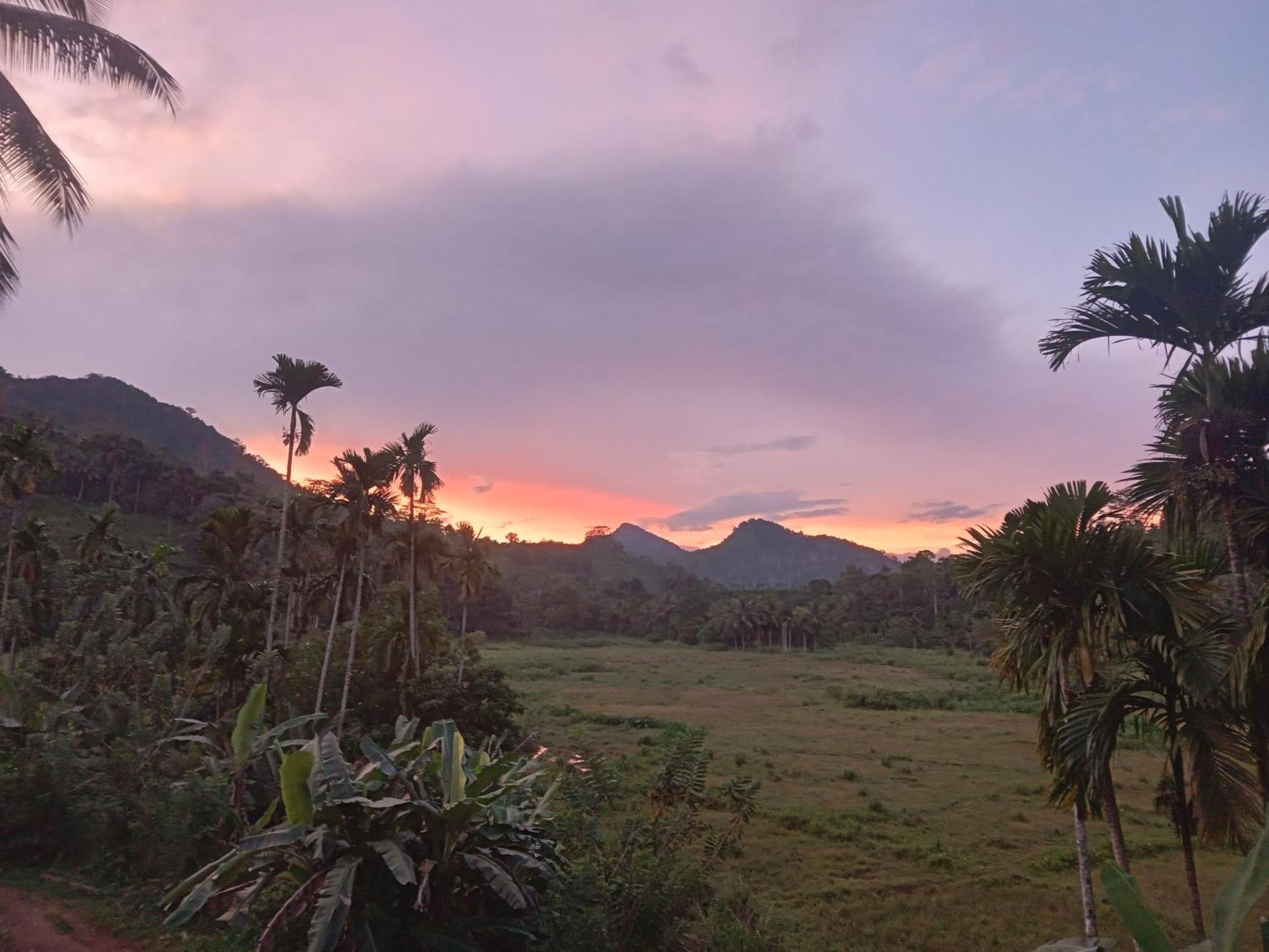 Rainforest Holiday Inn デニヤヤ エクステリア 写真