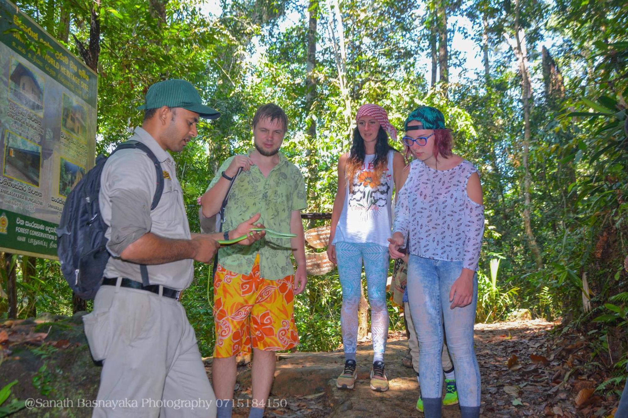 Rainforest Holiday Inn デニヤヤ エクステリア 写真