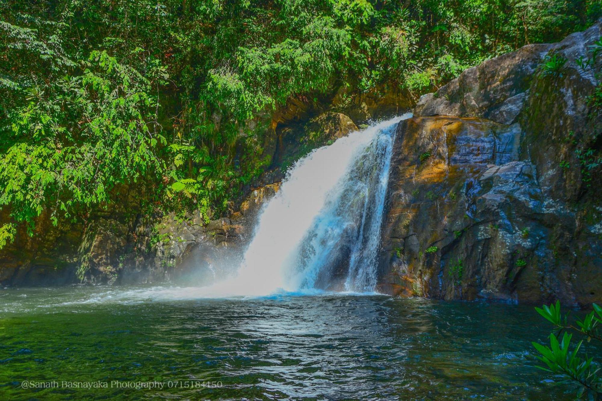 Rainforest Holiday Inn デニヤヤ エクステリア 写真
