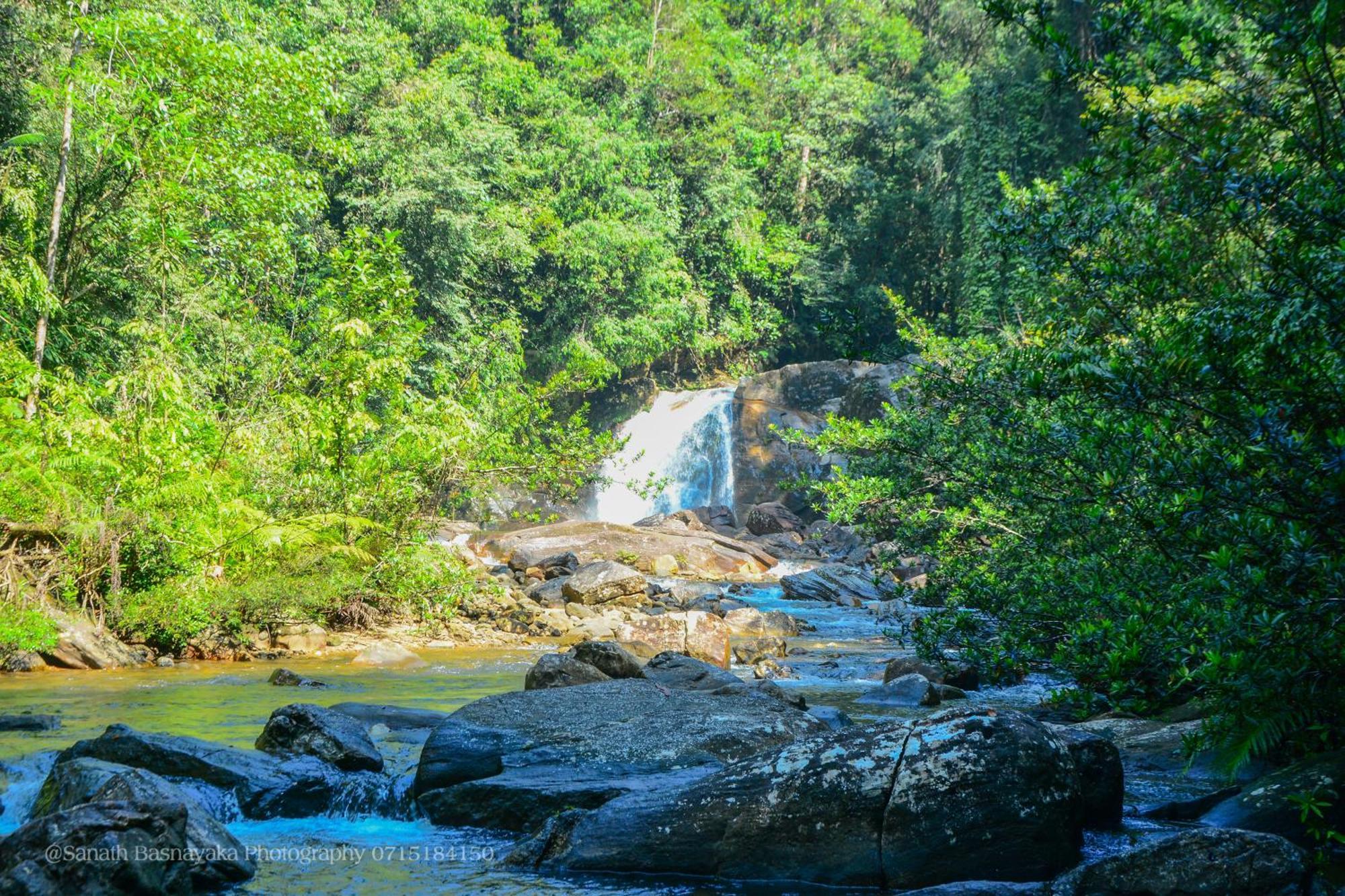 Rainforest Holiday Inn デニヤヤ エクステリア 写真