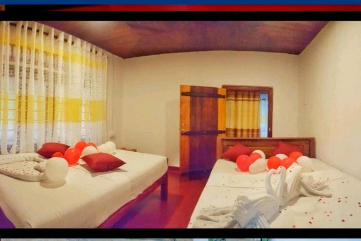 Rainforest Holiday Inn デニヤヤ エクステリア 写真